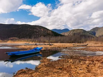 Bobby Casino Mobil App